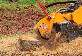 Best Leaf Removal  in Stanaford, WV