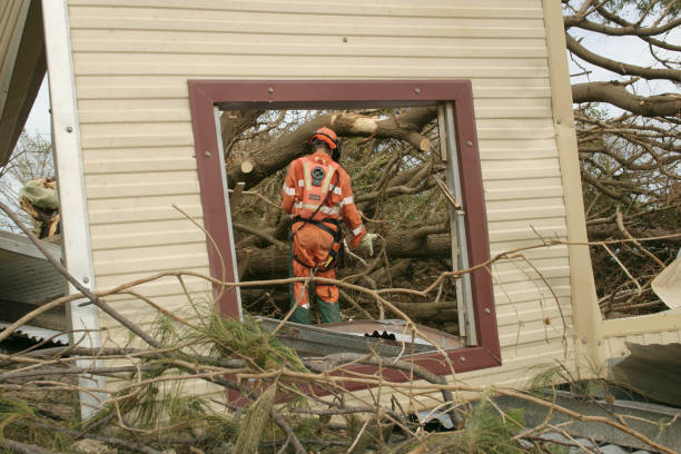 Best Commercial Tree Services  in Stanaford, WV